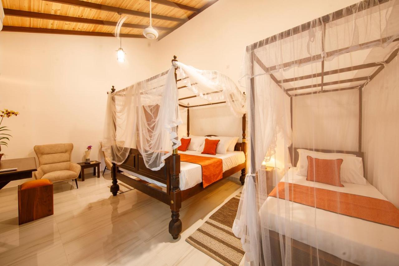 Mimoza Mirissa Bed & Breakfast Ngoại thất bức ảnh
