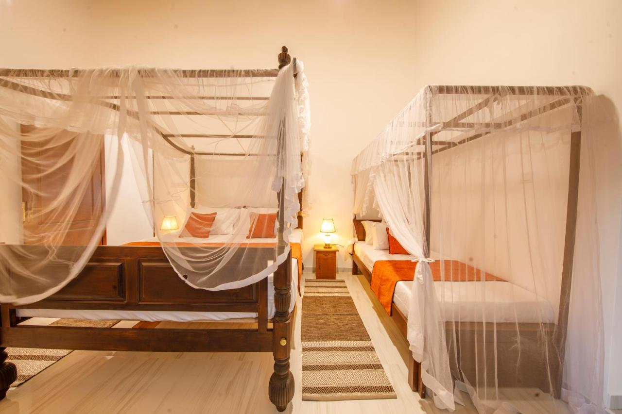 Mimoza Mirissa Bed & Breakfast Ngoại thất bức ảnh
