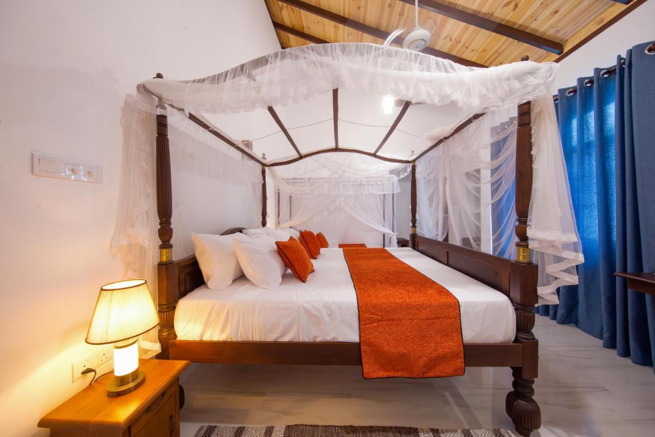 Mimoza Mirissa Bed & Breakfast Ngoại thất bức ảnh